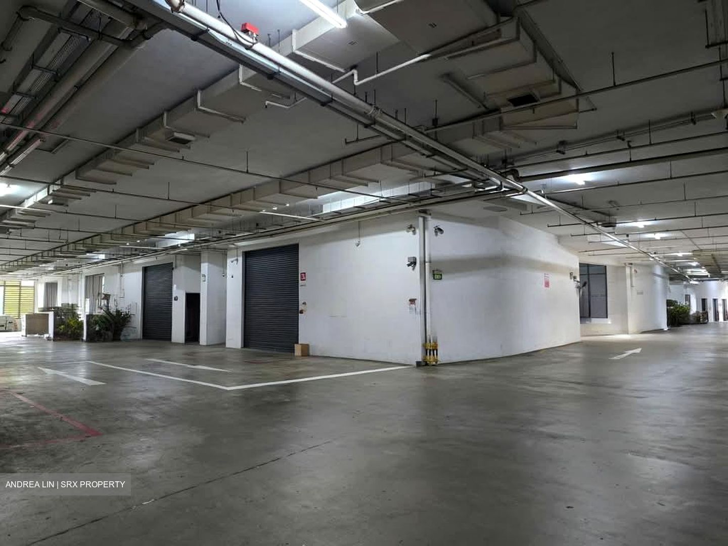 Woodlands Horizon (D25), Factory #558507791